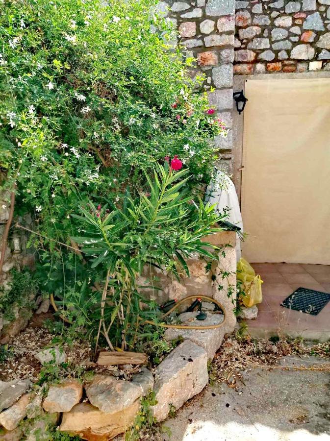 Traditional Stone House In Chios Βίλα Χίος Εξωτερικό φωτογραφία